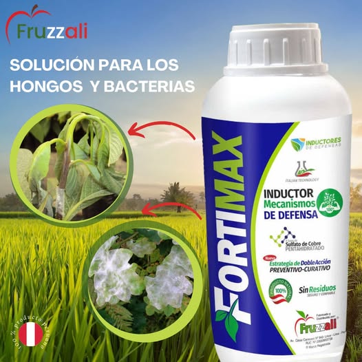 Fortimax Fortimax