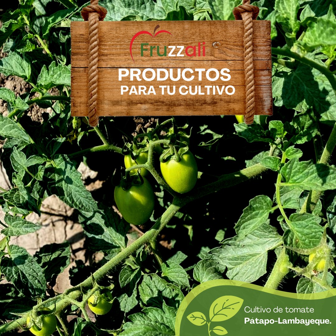 fruzzali-productos