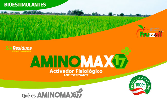 aminomax Aminomax