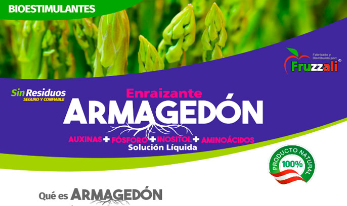 armagedon Armagedon