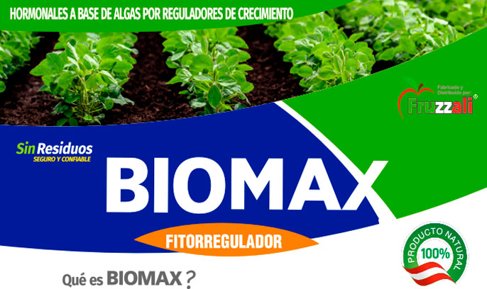 biomax Biomax