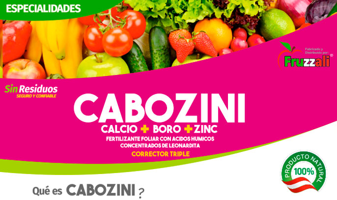 cabozini cabozini
