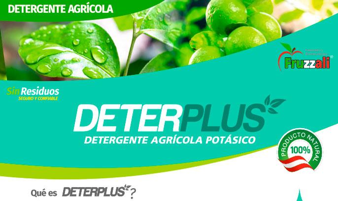 deterplus Deterplus