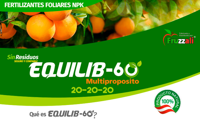 equilib-60 Equilib
