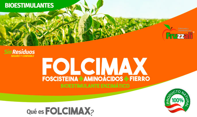 folcimax Folcimax