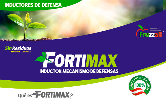fortimax Fortimax