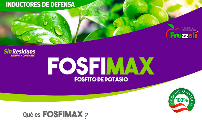 fosfimax Fosfimax