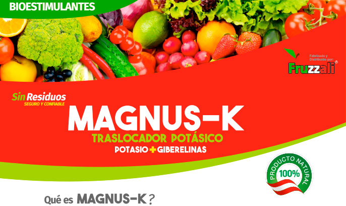 magnus-k Magnus K