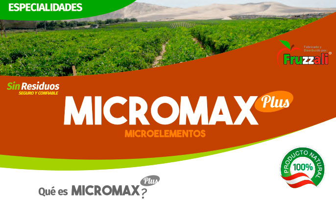 micromax Micromax