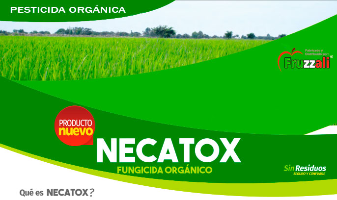 necatox Necatox