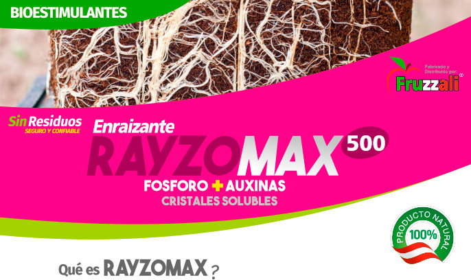 rayzomax Rayzomax
