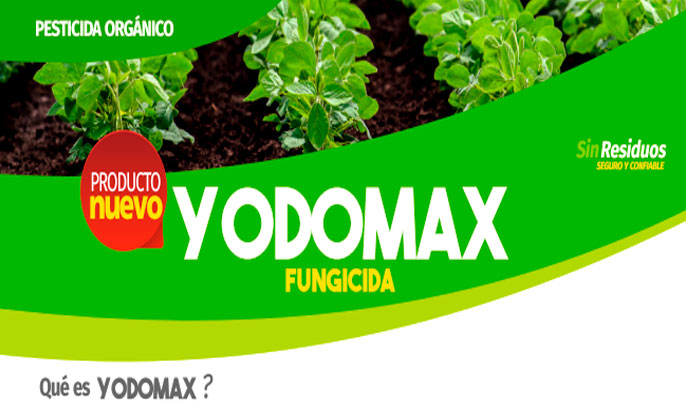yodomax Yodomax