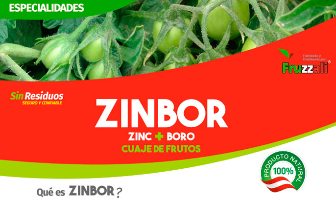 zinbor Zinbor