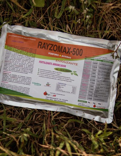 Rayzomax-500