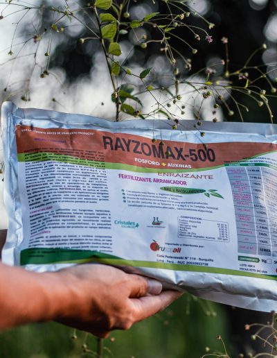 Rayzomax